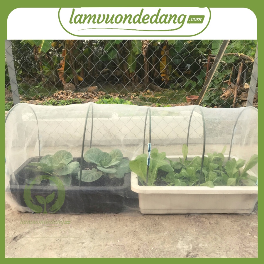 THANH TRE VÒM TẠO LUỐNG CHO CÂY