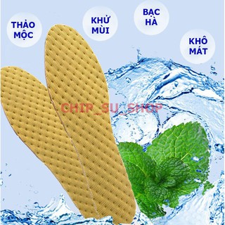Lót giày bạc hà khử mùi cx