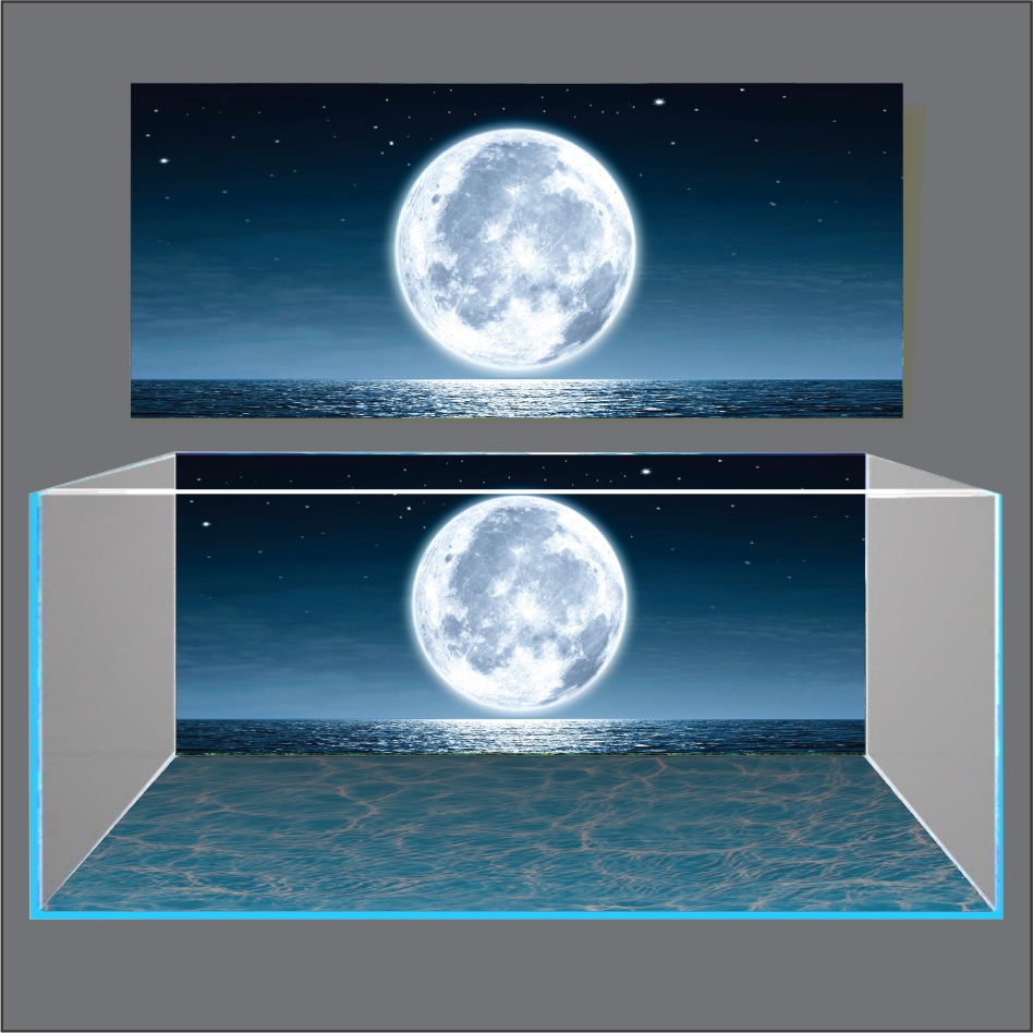 TRANH 3D DÁN HỒ CÁ NEW MOON LIGHT_TRANH LƯNG