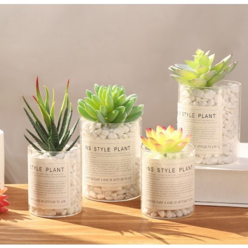 Cây sen đá giả nhiều mẫu đủ màu giống thật bền đẹp, trang trí nội ngoại thất có nhiều size