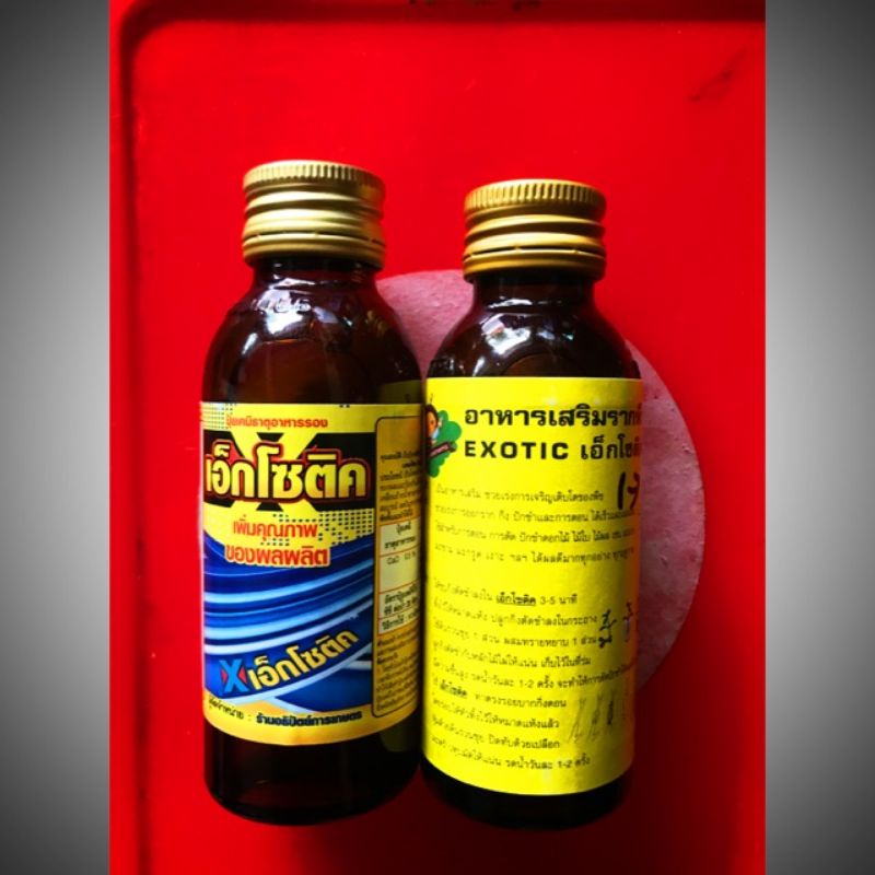 kích rể exotic thái