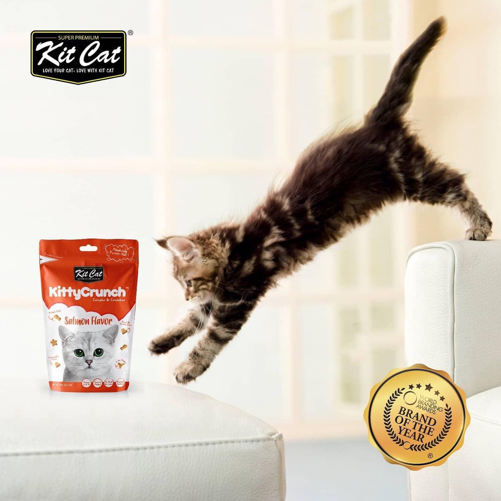 Bánh thưởng cho mèo Kit Cat kitty crunch 60g, thức ăn snack vặt huấn luyện mèo con lớn Con Mèo Xiêm