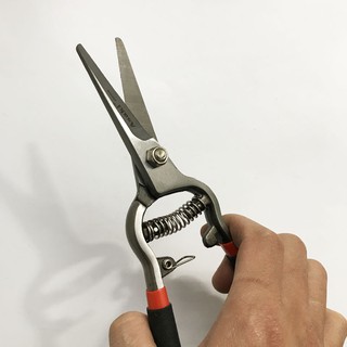 Kéo cắt tỉa cây cảnh Asaki AK-8648