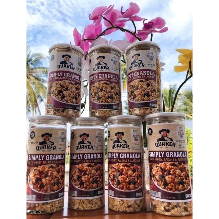 NGŨ CỐC ĂN KIÊNG GRANOLA SIÊU HẠT QUẨ SẤY DINH DƯỠNG HỘP (500g)