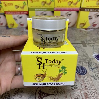 SH Today Kem mụn 3 tác dụng ( 10g )