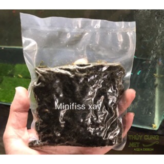 RÊU MINIFISS VÒ SẴN ƯƠNG BỂ THUỶ SINH TUYỆT ĐẸP