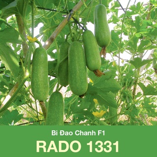 [Chính hãng] Hạt Giống Bí Đao Chanh Lai F1 Rado 1331 Gói 0,2g Dễ trồng, dễ chăm sóc, nhanh thu hoạch, năng suất cao