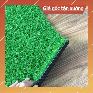 Tấm cỏ nhân tạo đế dày - Thảm lót vệ sinh cho mèo - kích thước 50cm x 100cm