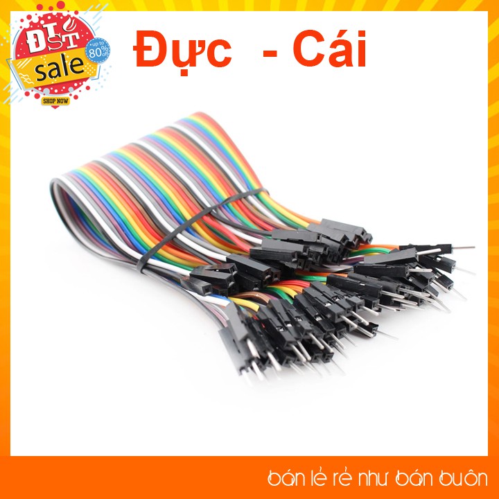 ✅ [RẺ NHẤT VIỆT NAM]Dây cắm board test đực/cái 20cm (40 sợi)