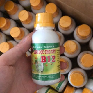 B12 giải độc cho cây