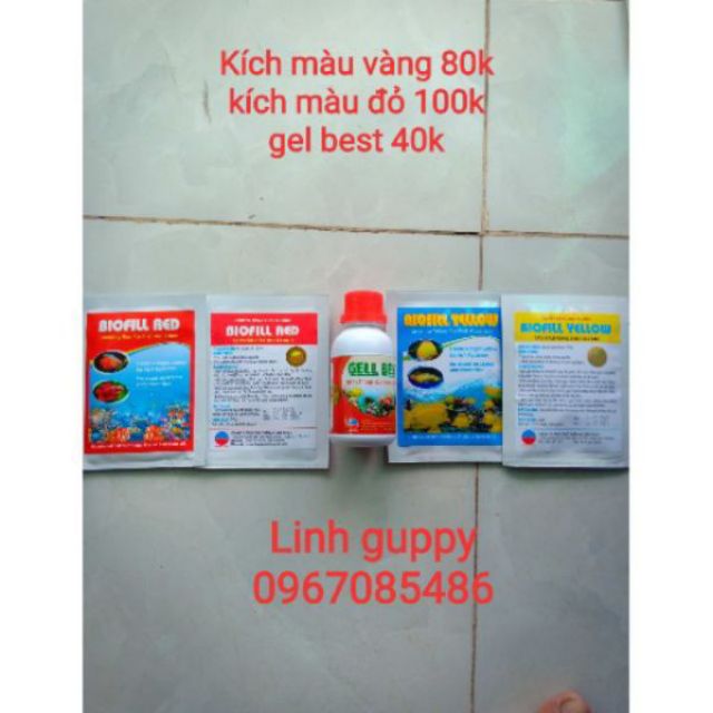 BIO RED , BIO YELLOW KÍCH MÀU VÀNG , ĐỎ CHO CÁ CẢNH , CHẤT DẪN DỤ GIÚP CÁ LÊN MÀU HÀNG CTY