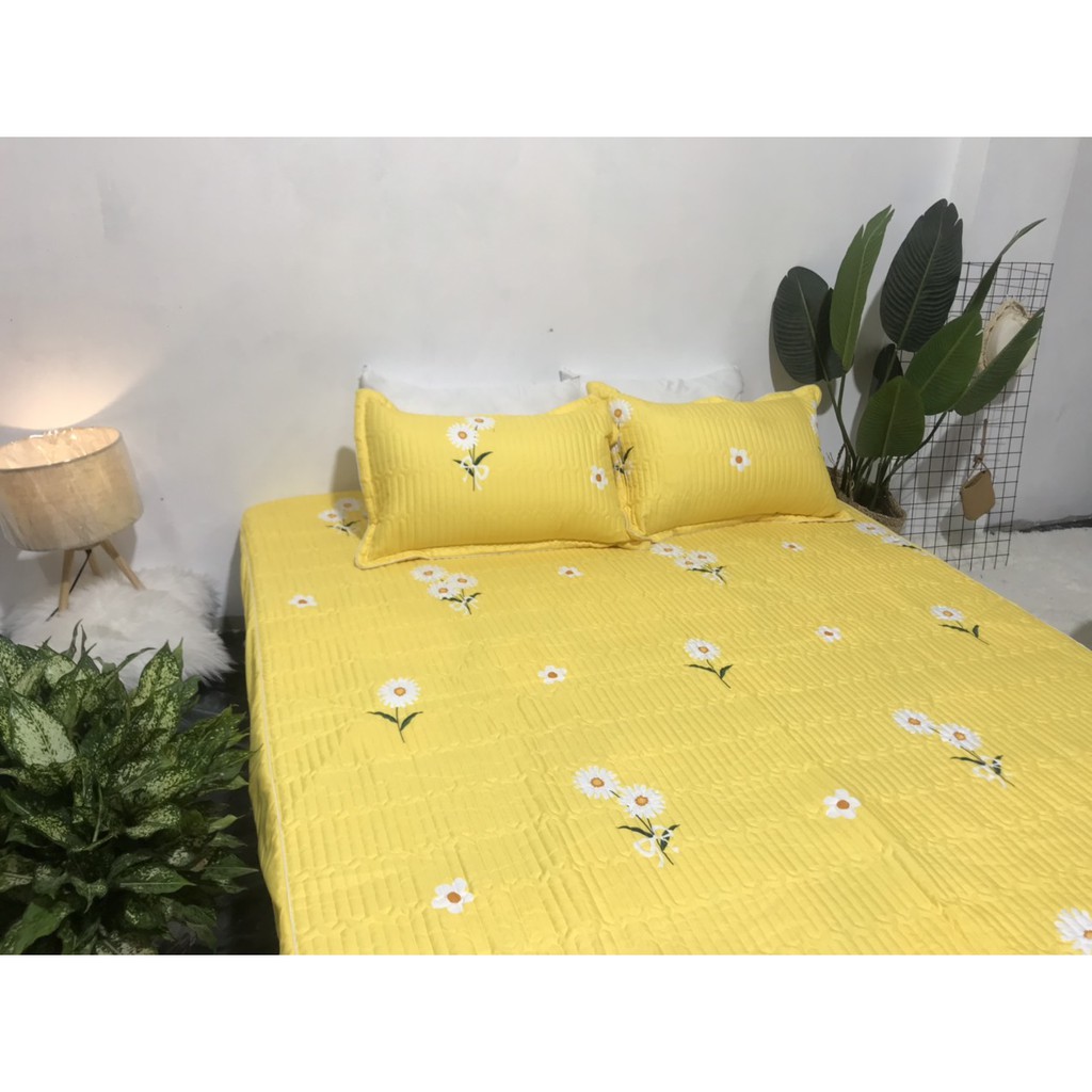 Bộ Ga Cotton Trần Caro Ghi GT03