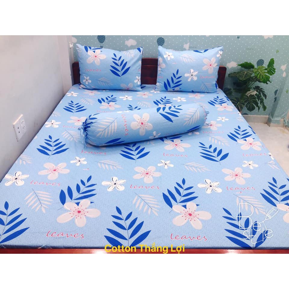 bộ drap cotton Thắng Lợi chuẩn logo đủ size