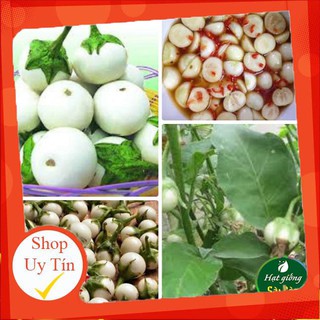 - Hạt Giống Cà Pháo Phú Nông chất lượng.