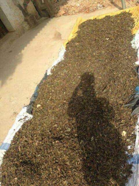 () 5kg chè vằng sẻ nghệ an | BigBuy360 - bigbuy360.vn