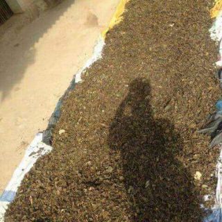 () 5kg chè vằng sẻ nghệ an