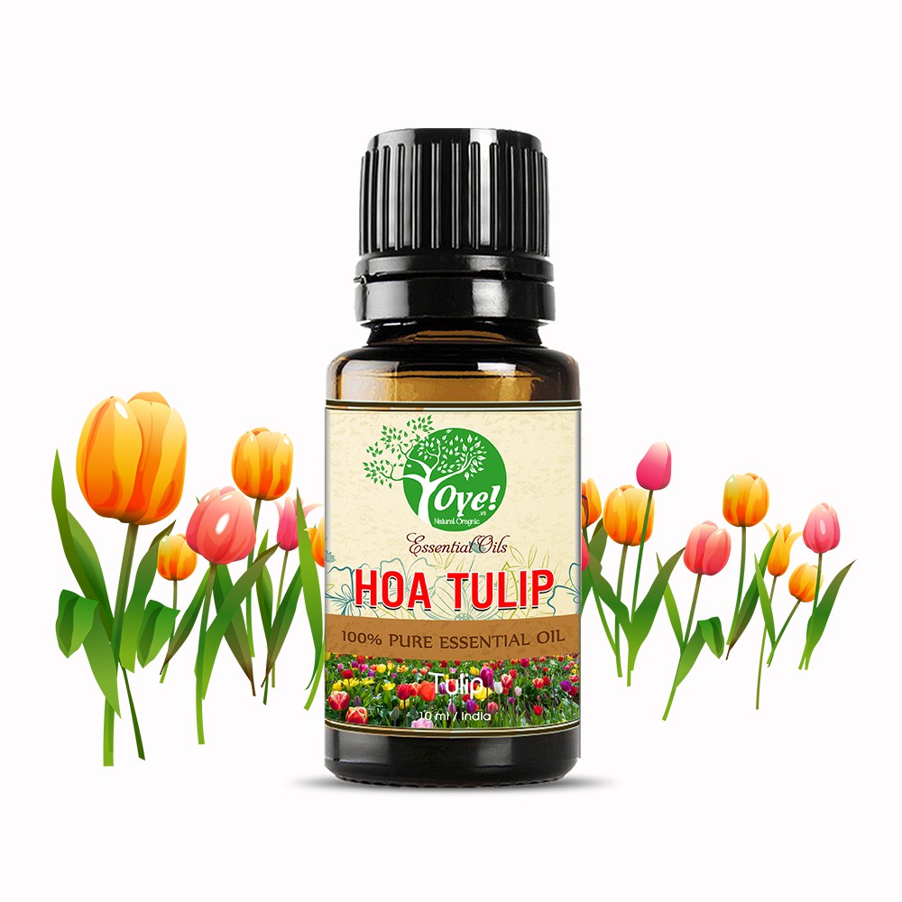 Tinh Dầu Hoa Tulip Nhập Khẩu - OYe Làm thơm phòng tủ quần áo chế tạo túi thơm