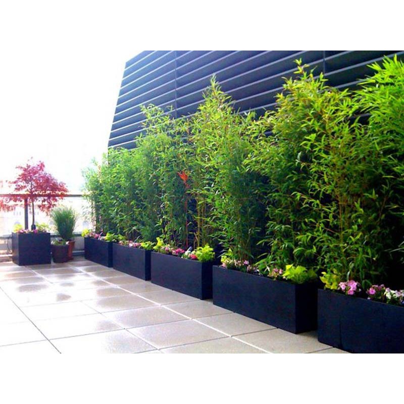 Chậu xi măng đá mài CHỮ NHẬT 30*30*60 - Đen