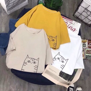 Áo thun mèo mặt ngu combo