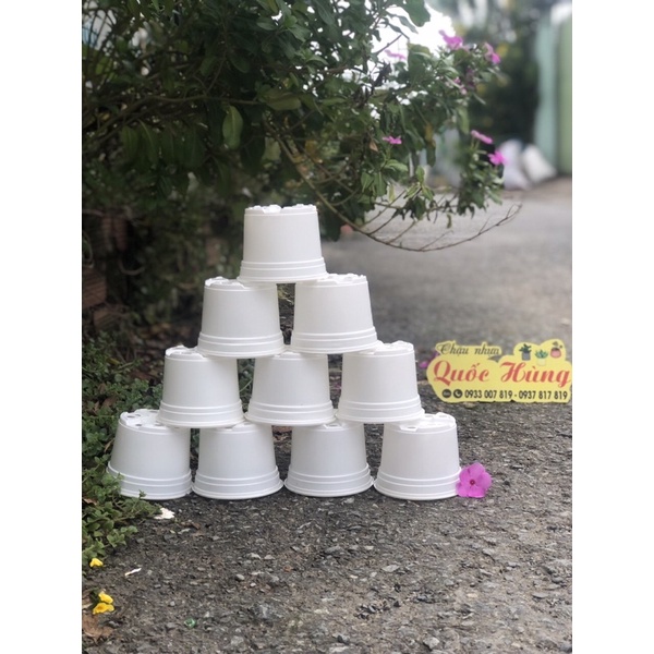 Chậu nhựa trắng  trồng xương rồng - Sen đá -cây mini