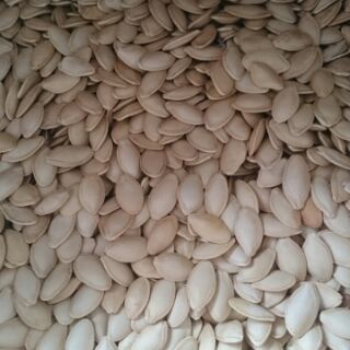 Combo 2kg Hạt bí rang muối loại ngon