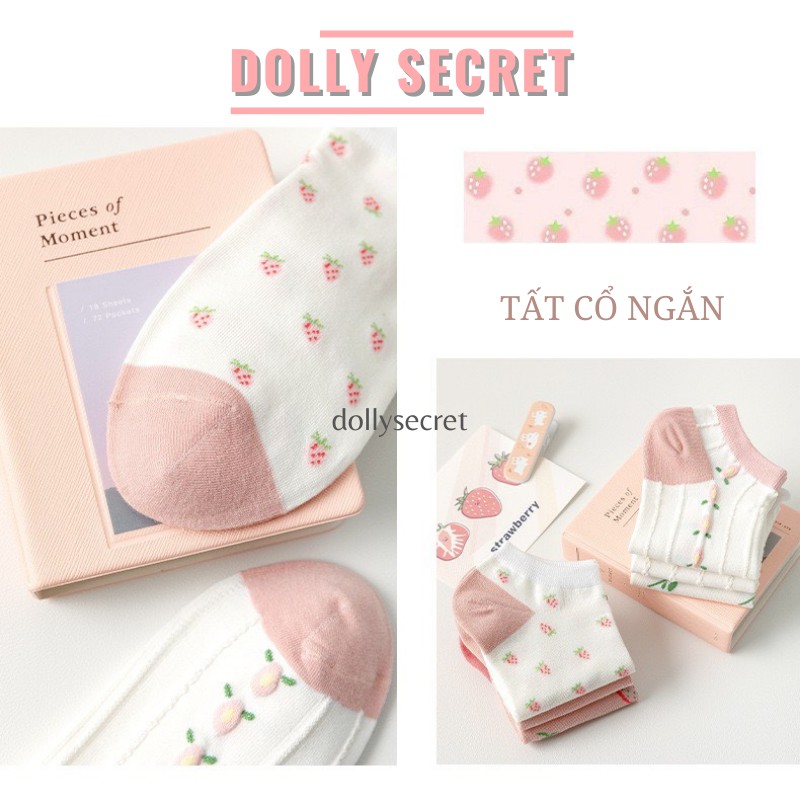 Tất cổ ngắn cotton dễ thương màu trắng hồng công chúa phong cách Vintage Hàn Quốc DOLLY SECRET T10