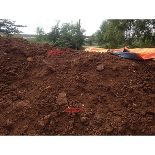 Đất Đỏ Bazan (Gói 1kg) Trồng Cây, Rau Màu