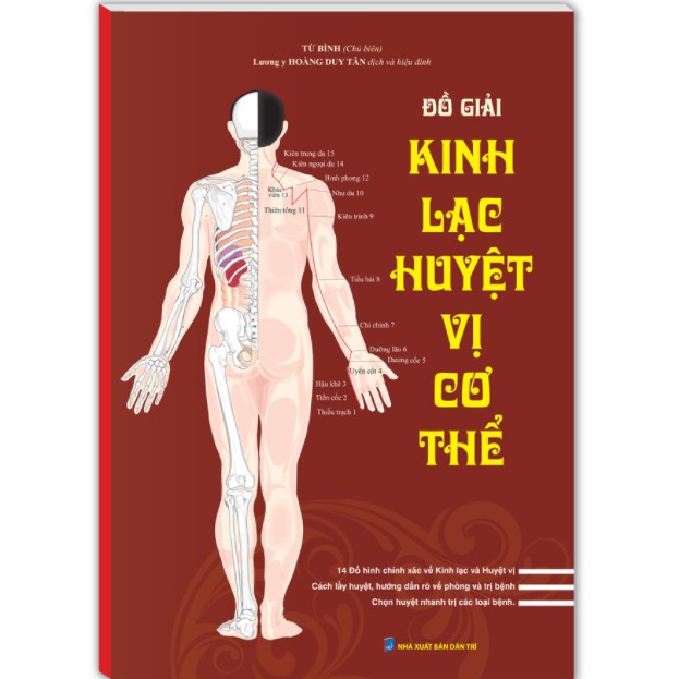 Sách - Đồ giải kinh lạc huyệt vị cơ thể (bìa mềm)