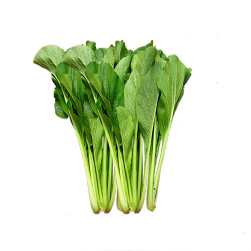 Gói 20g hạt giống cải ngọt cao sản - Nanuseeds