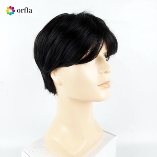 Tóc Giả Nam Dài 15cm Màu Đen