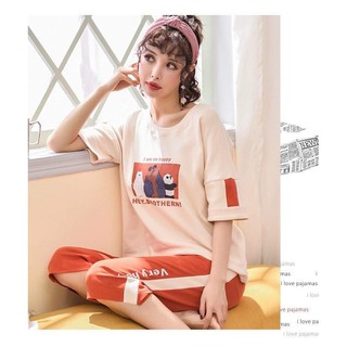 Sét bộ thun lửng người lớn con gấu
