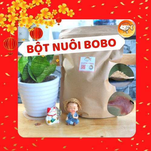 Bột Nuôi Bo Bo - Trứng Nước (Moina) Tại Nhà