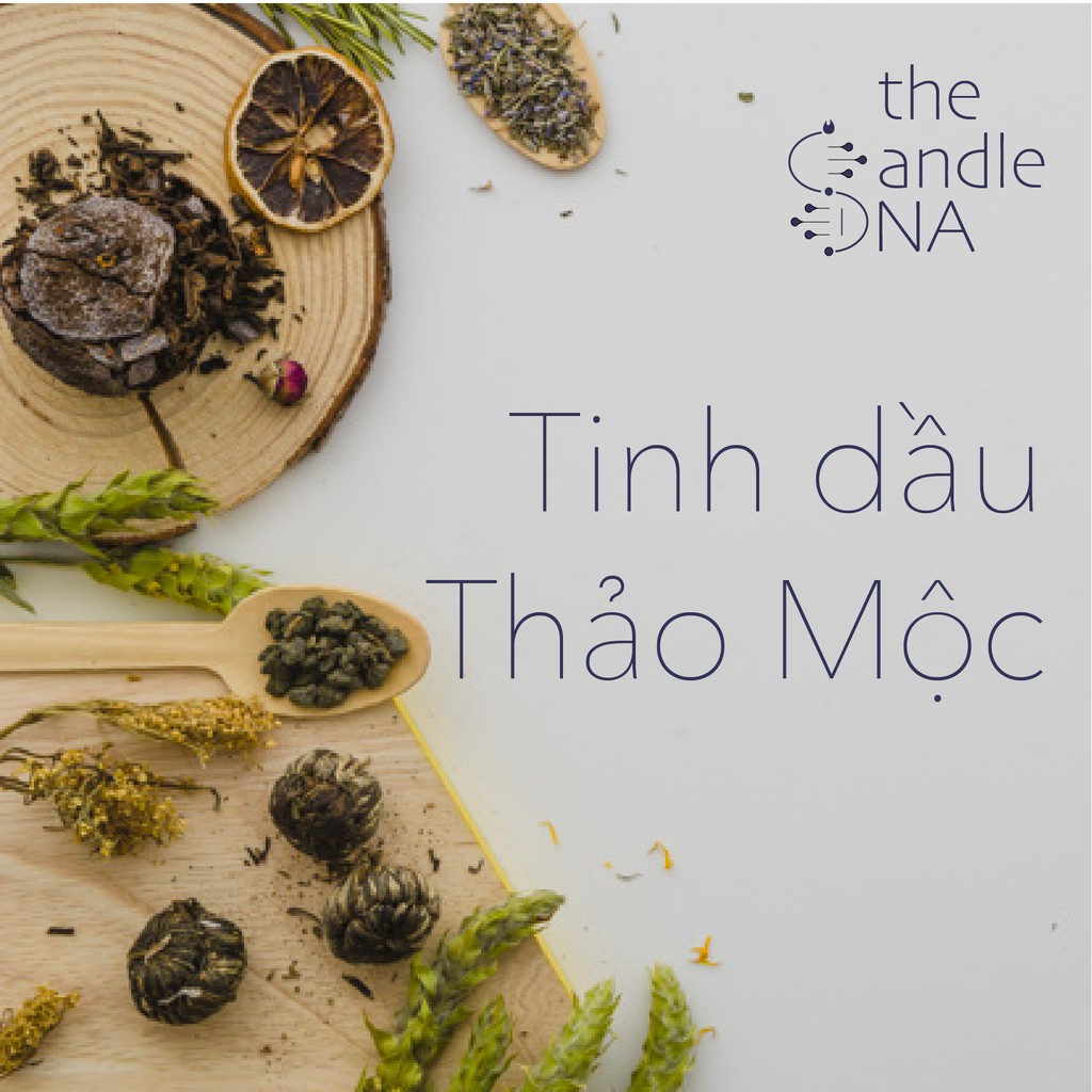 [10 Loại] - Tinh dầu thiên nhiên họ THẢO MỘC - 10ml nguyên chất - The Candle DNA