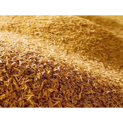 500g Vỏ trấu tươi  để trộn giá thể trồng cây