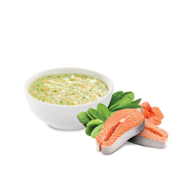 Thùng Cháo Tươi Baby Sài Gòn Food Cá Hồi Cải Bó Xôi