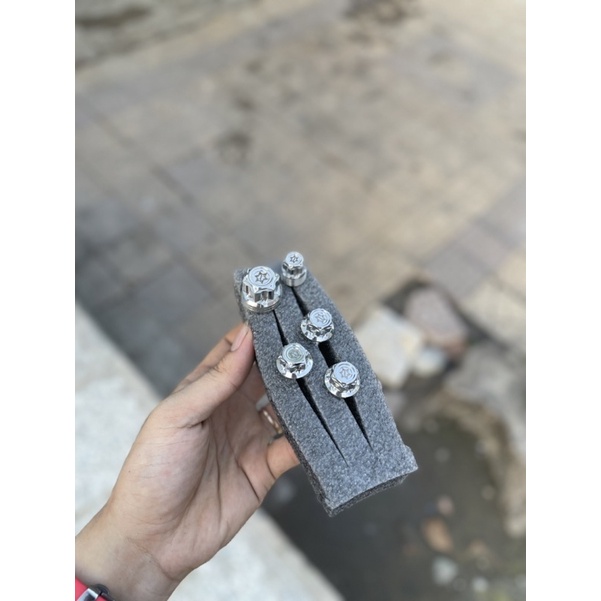 Ốc Kiểng Salaya Inox 304 Mẫu S08 chính hãng