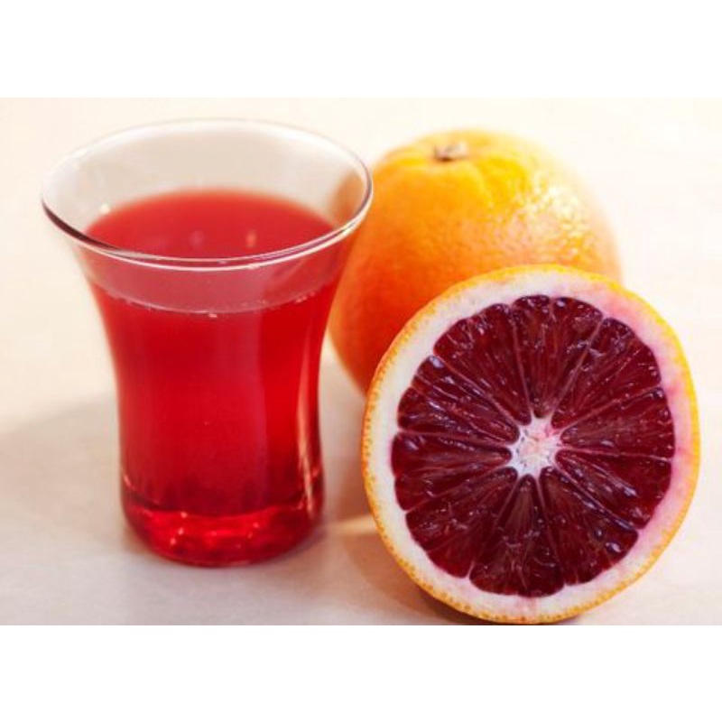 Cam máu Blood Orange giống