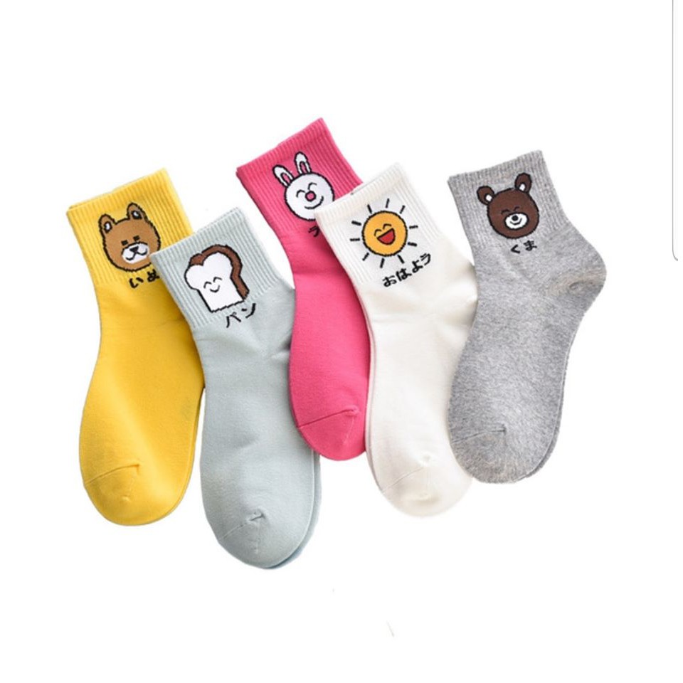 BỘ TẤT GẤU CHỮ NHẬT