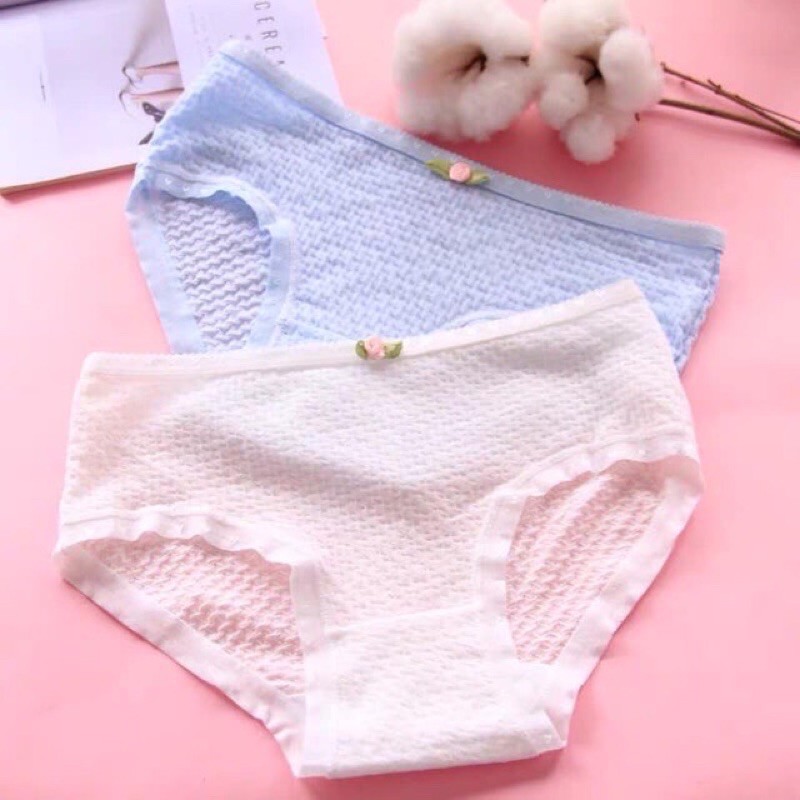 Quần lót cotton nơ hoa siêu đẹp Q 104- CHILL HOUSE