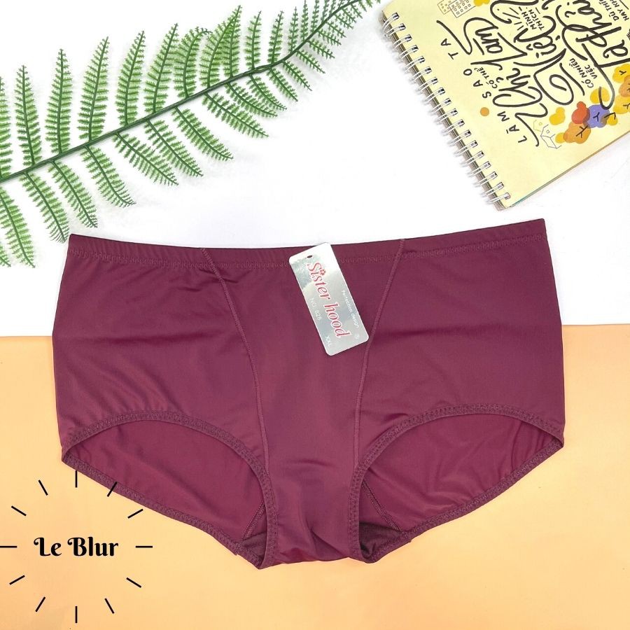 Quần lót nữ thun lạnh co giãn, nâng mông, chip big size, nôi y Thái Lan 828 Sisterhood, Leblur | BigBuy360 - bigbuy360.vn