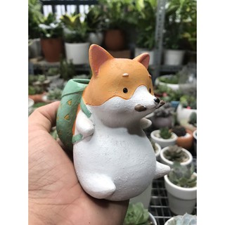 Chậu thú trồng sen đá dễ thương
