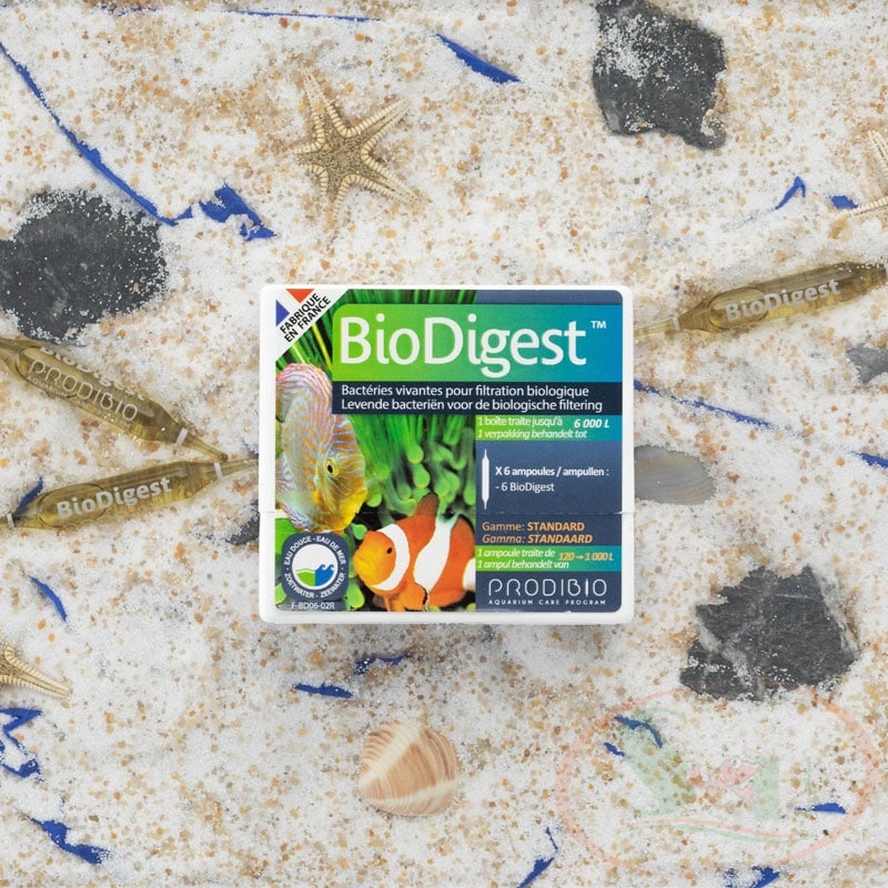 Vi sinh sống Prodibio BioDigest 1 ống cao cấp xử lý nước bể cá tép thủy sinh