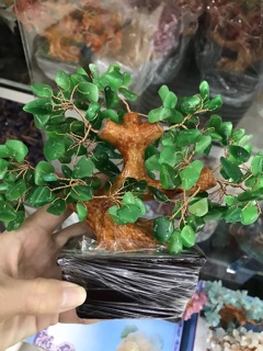 Cây đá vụn đá