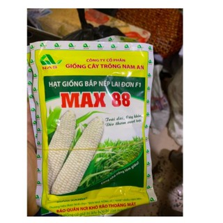 Giống bắp nếp lai đơn max 88 (100gram)
