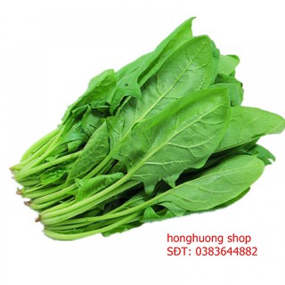 Hạt giống cải bó xôi