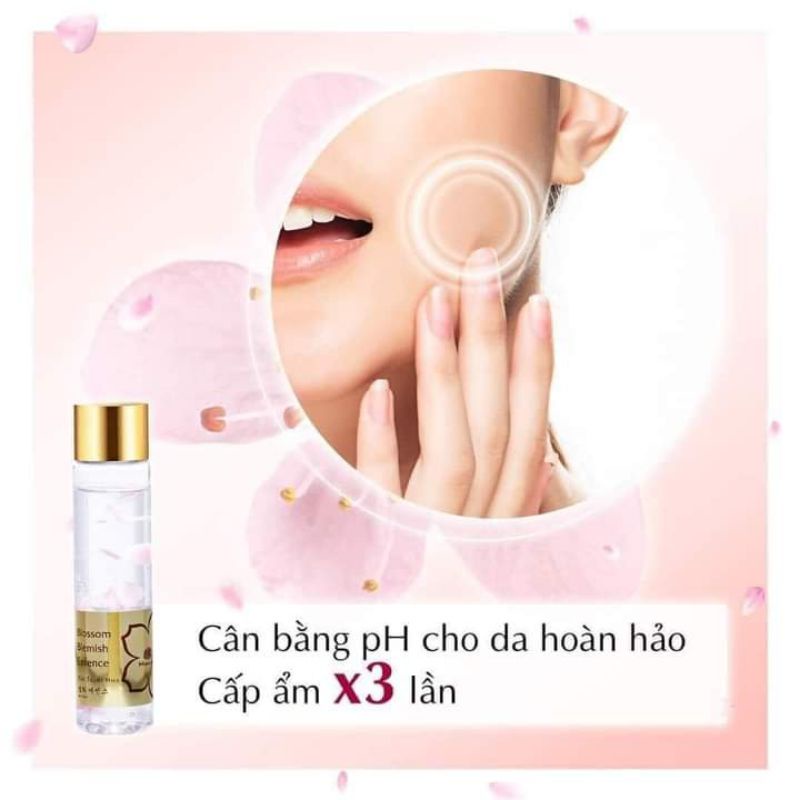 Tonner cốt tuyết hoa magic skin