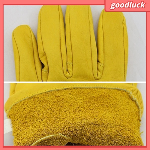 Găng Tay Đi Trượt Tuyết Chống Trượt