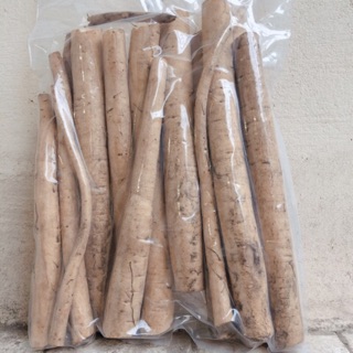 Củ ngưu bàng tươi 1 ký