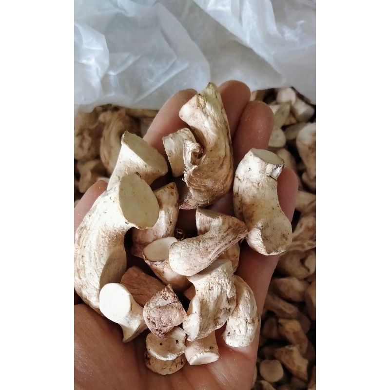 Chân nấm Việt hữu cơ khô 500gr