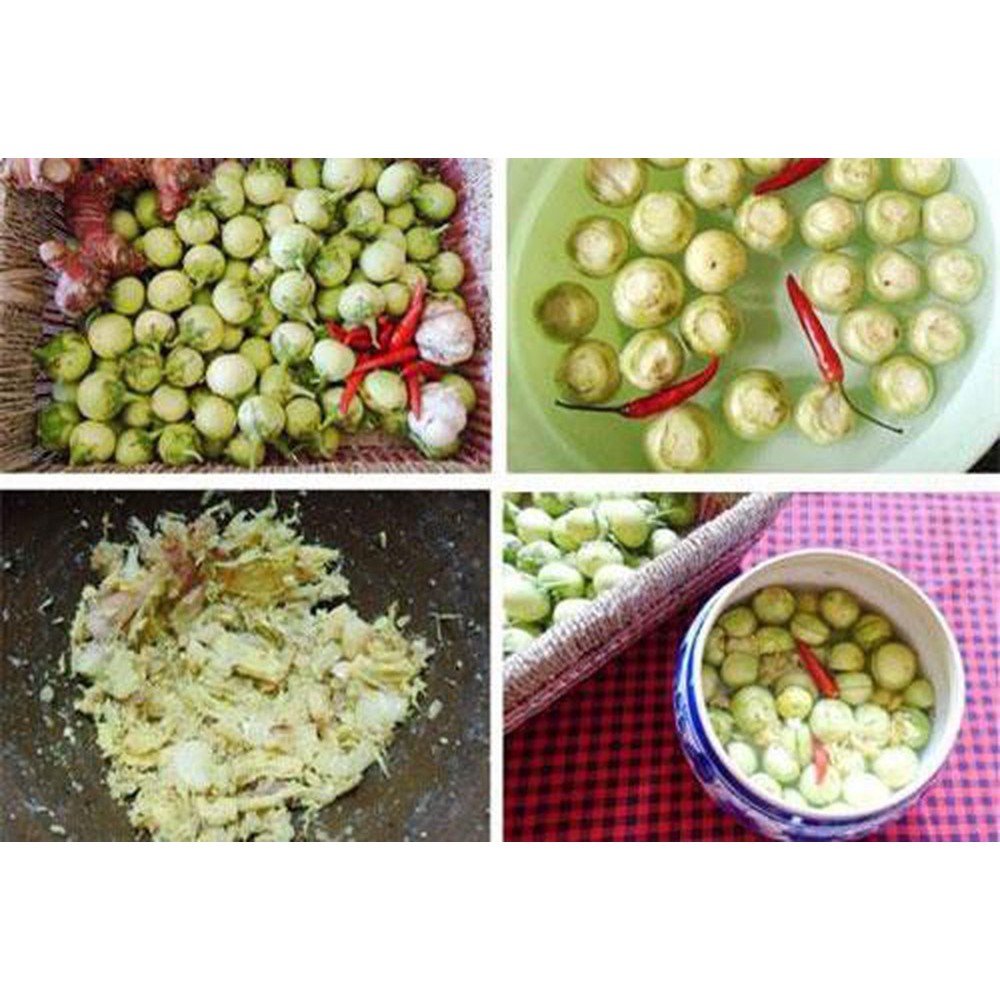 Hạt giống Cà pháo trắng trái nhỏ F1- Cà muối - gói 25hạt